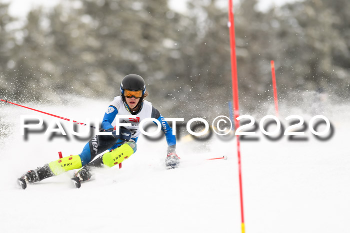 7. BZB CUP SL 28.02.2020