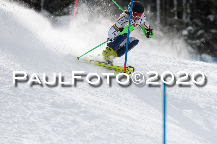 7. BZB CUP SL 28.02.2020