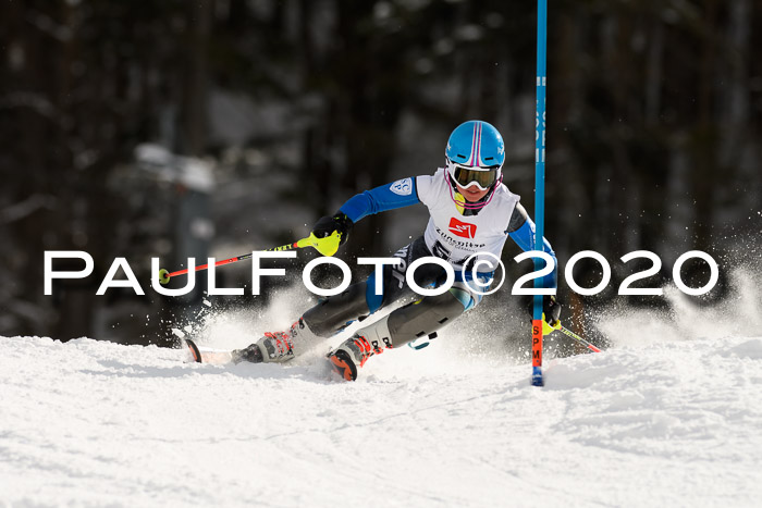 7. BZB CUP SL 28.02.2020