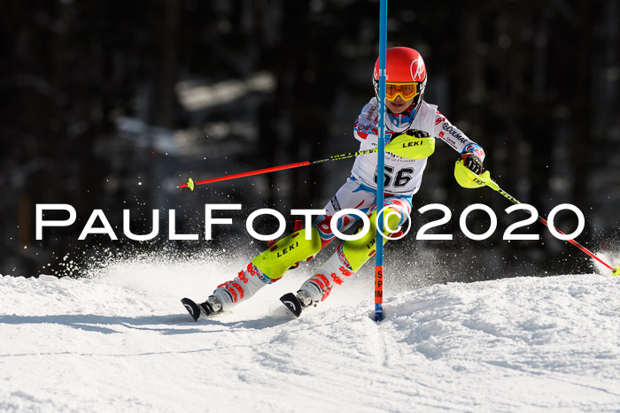 7. BZB CUP SL 28.02.2020