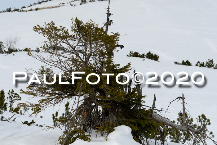 Allgäuer Schülermeisterschaft RS 2020