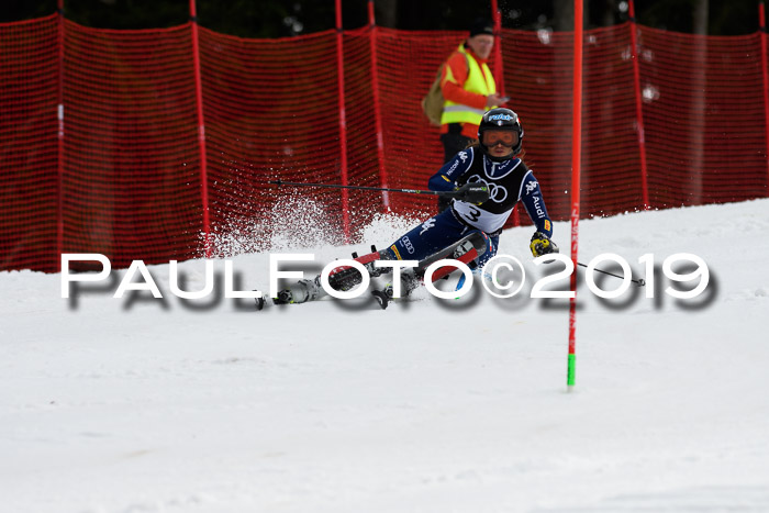 Europacup Damen Slalom, 29.02.2020 Bad Wiessee