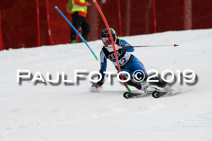 Europacup Damen Slalom, 29.02.2020 Bad Wiessee