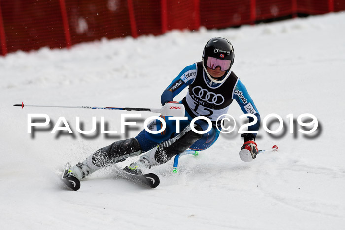 Europacup Damen Slalom, 29.02.2020 Bad Wiessee