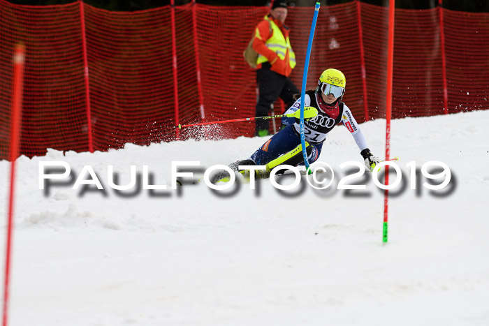 Europacup Damen Slalom, 29.02.2020 Bad Wiessee