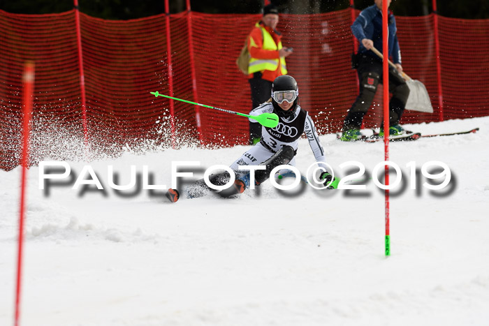 Europacup Damen Slalom, 29.02.2020 Bad Wiessee
