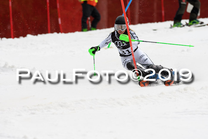 Europacup Damen Slalom, 29.02.2020 Bad Wiessee