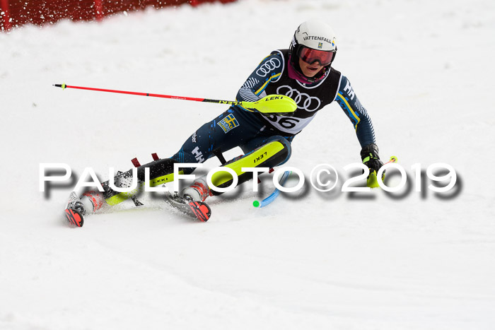 Europacup Damen Slalom, 29.02.2020 Bad Wiessee