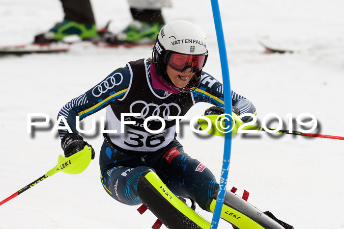 Europacup Damen Slalom, 29.02.2020 Bad Wiessee
