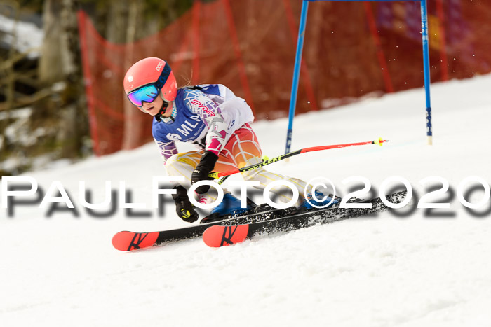 SVM U8-U10 Rennserie VRS 29.02.2020