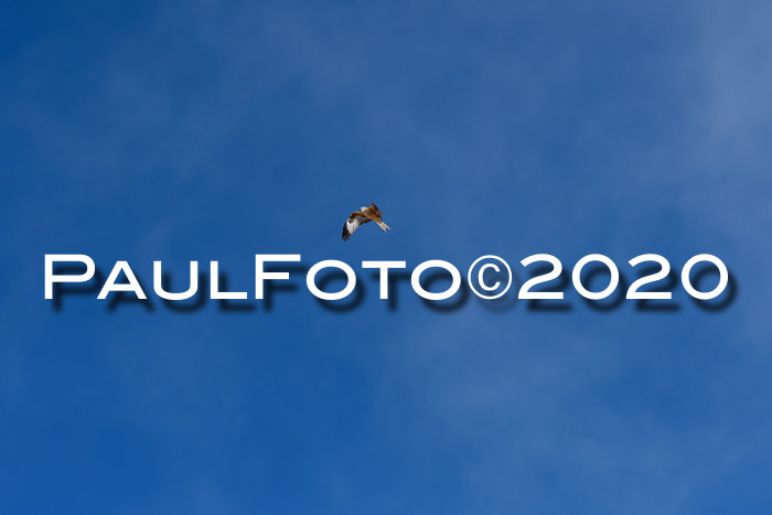 Allgäuer Schülermeisterschaft SL 2020