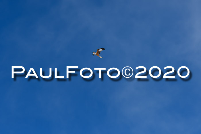 Allgäuer Schülermeisterschaft SL 2020