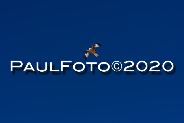 Allgäuer Schülermeisterschaft SL 2020
