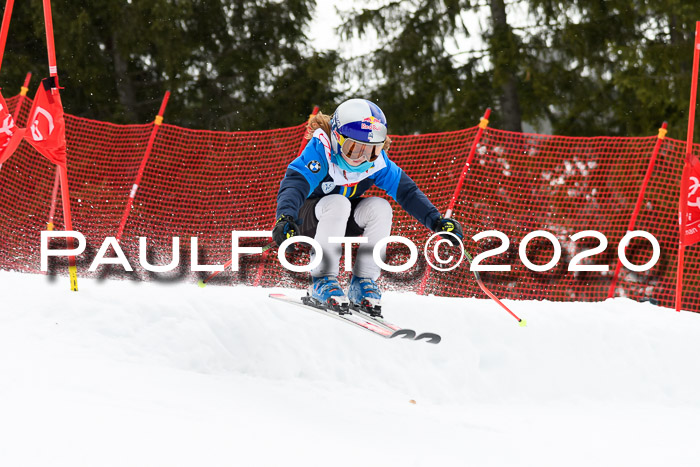 DSV - Deutscher Schülercup U12 Finale RaceCross