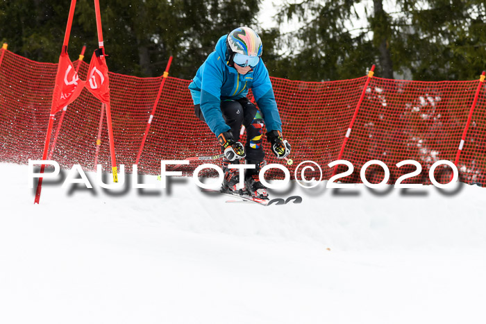 DSV - Deutscher Schülercup U12 Finale RaceCross