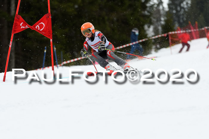 DSV - Deutscher Schülercup U12 Finale RaceCross