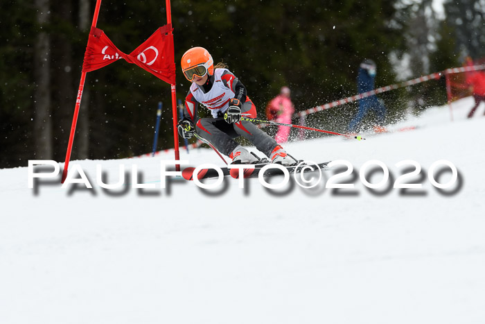 DSV - Deutscher Schülercup U12 Finale RaceCross