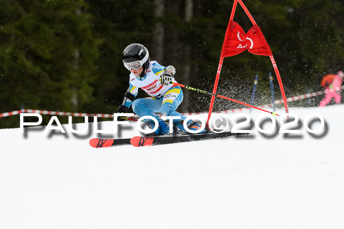 DSV - Deutscher Schülercup U12 Finale RaceCross