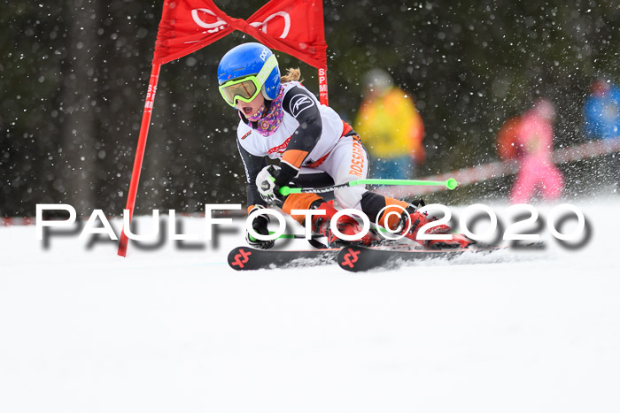 DSV - Deutscher Schülercup U12 Finale RaceCross