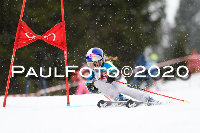 DSV - Deutscher Schülercup U12 Finale RaceCross
