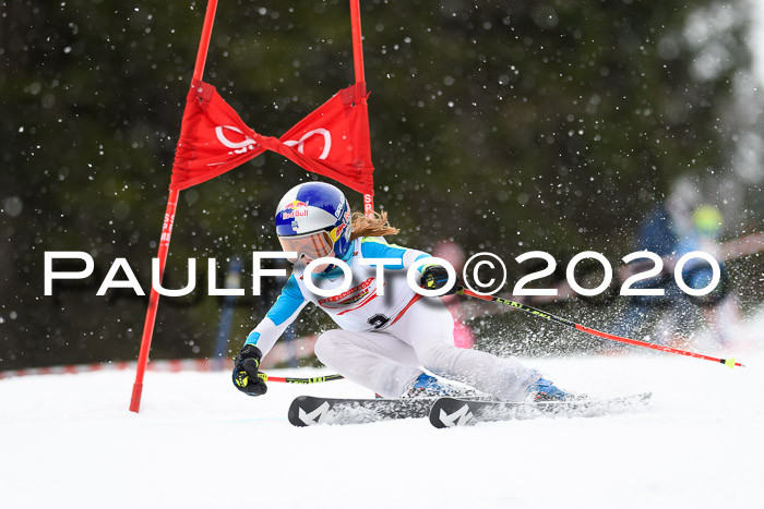 DSV - Deutscher Schülercup U12 Finale RaceCross