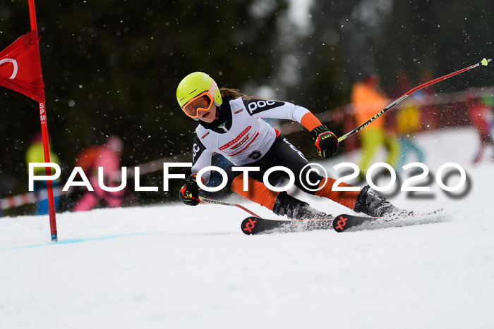 DSV - Deutscher Schülercup U12 Finale RaceCross