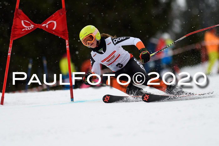 DSV - Deutscher Schülercup U12 Finale RaceCross