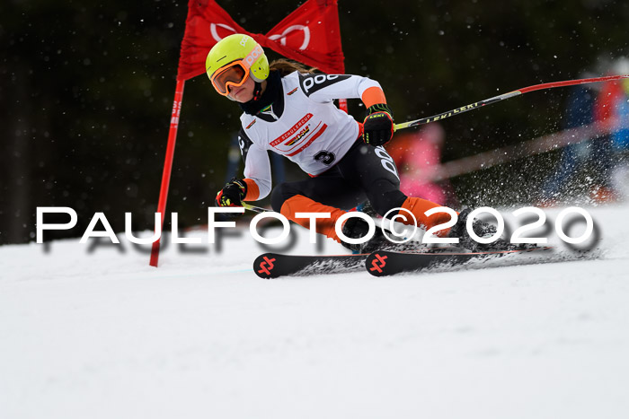 DSV - Deutscher Schülercup U12 Finale RaceCross