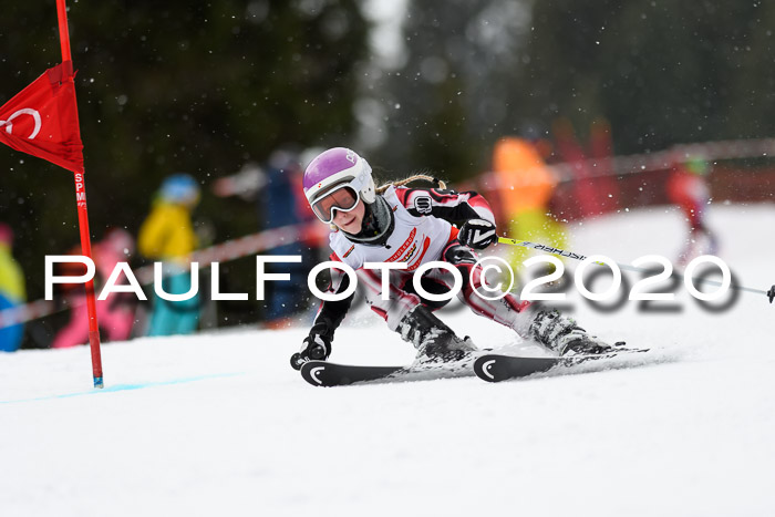 DSV - Deutscher Schülercup U12 Finale RaceCross