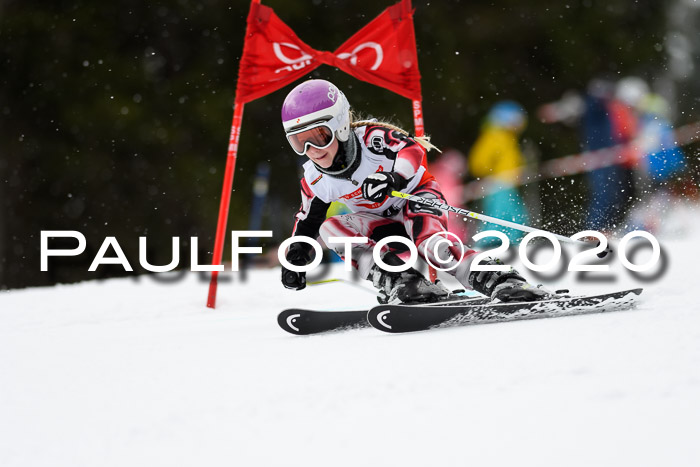 DSV - Deutscher Schülercup U12 Finale RaceCross