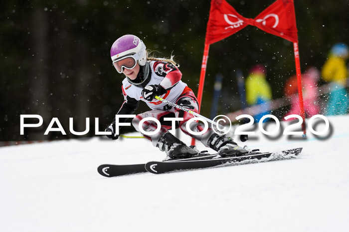DSV - Deutscher Schülercup U12 Finale RaceCross