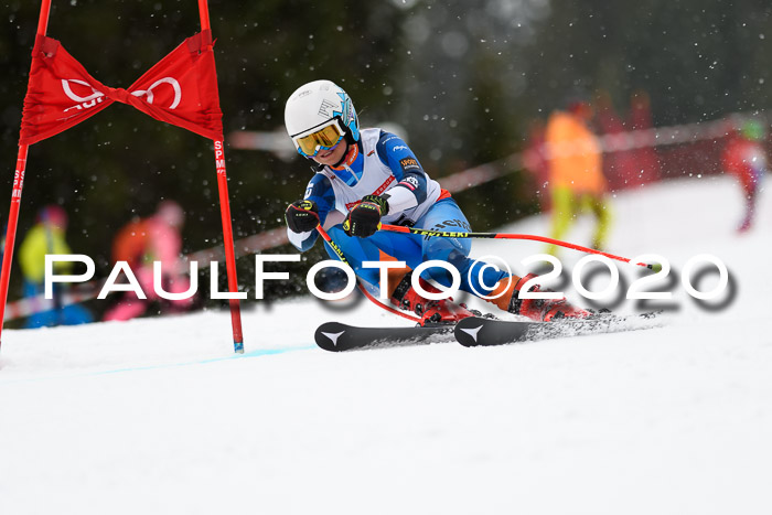 DSV - Deutscher Schülercup U12 Finale RaceCross