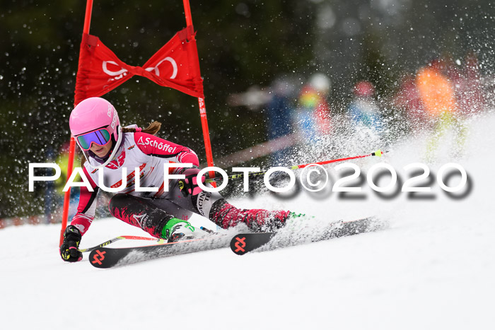 DSV - Deutscher Schülercup U12 Finale RaceCross
