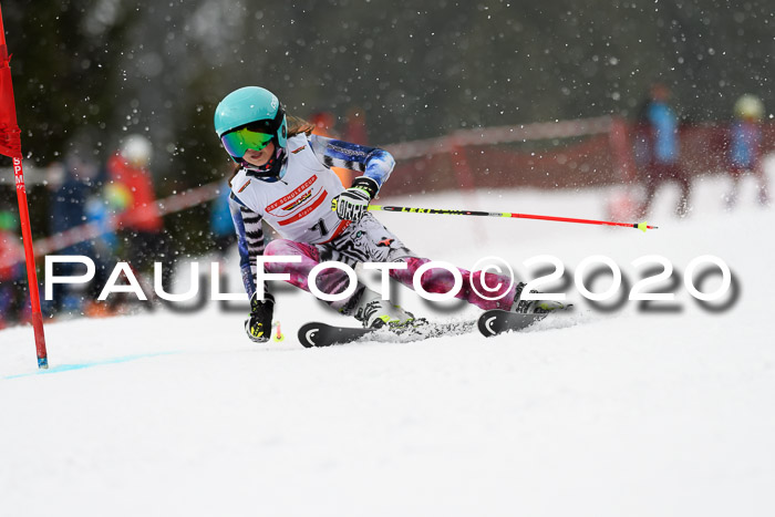 DSV - Deutscher Schülercup U12 Finale RaceCross