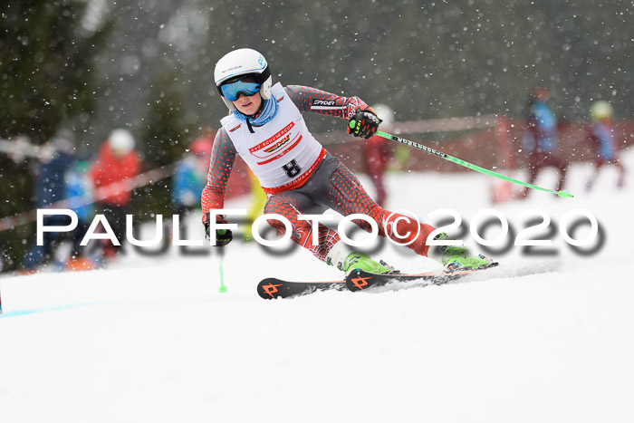 DSV - Deutscher Schülercup U12 Finale RaceCross