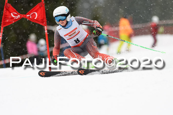 DSV - Deutscher Schülercup U12 Finale RaceCross
