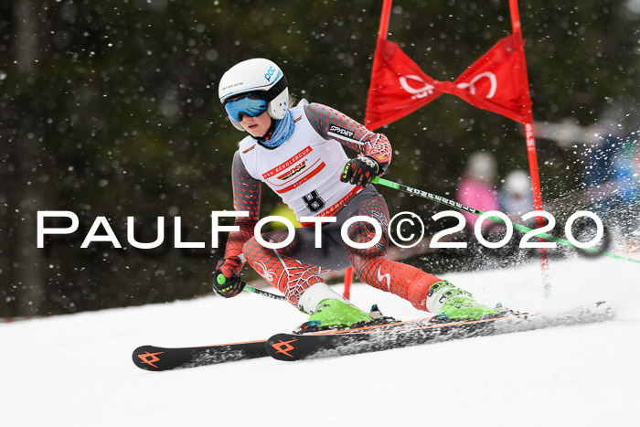 DSV - Deutscher Schülercup U12 Finale RaceCross