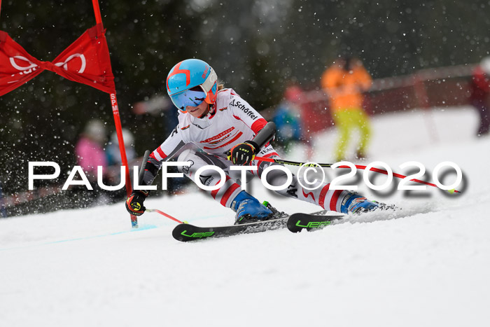 DSV - Deutscher Schülercup U12 Finale RaceCross