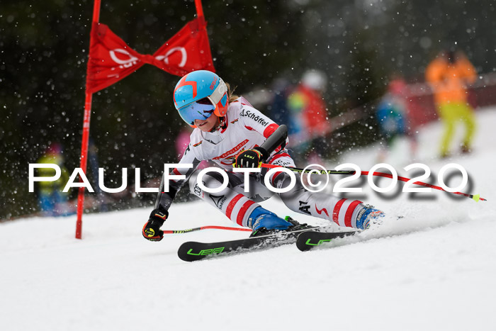 DSV - Deutscher Schülercup U12 Finale RaceCross