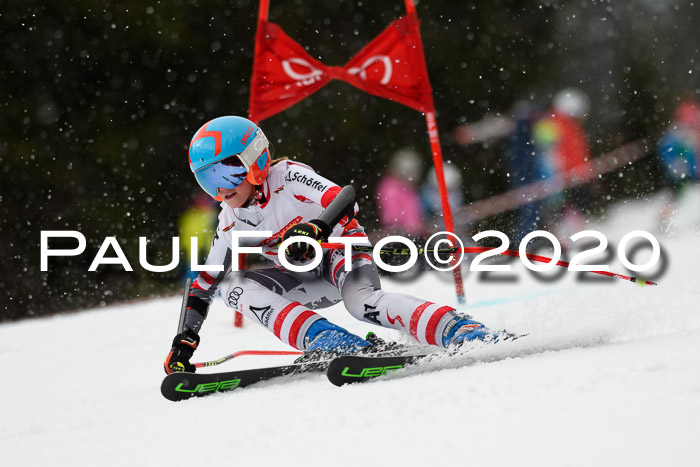DSV - Deutscher Schülercup U12 Finale RaceCross