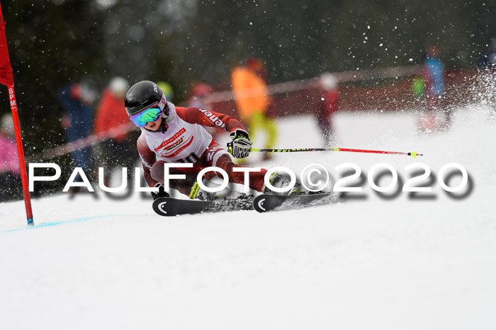 DSV - Deutscher Schülercup U12 Finale RaceCross