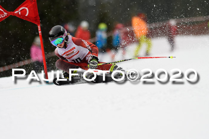 DSV - Deutscher Schülercup U12 Finale RaceCross