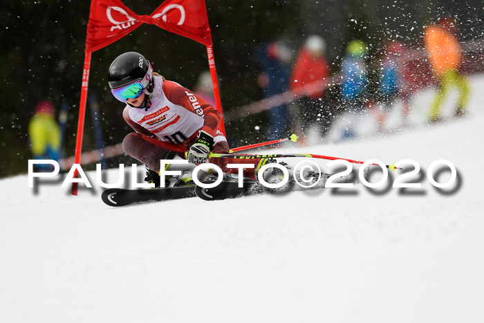 DSV - Deutscher Schülercup U12 Finale RaceCross