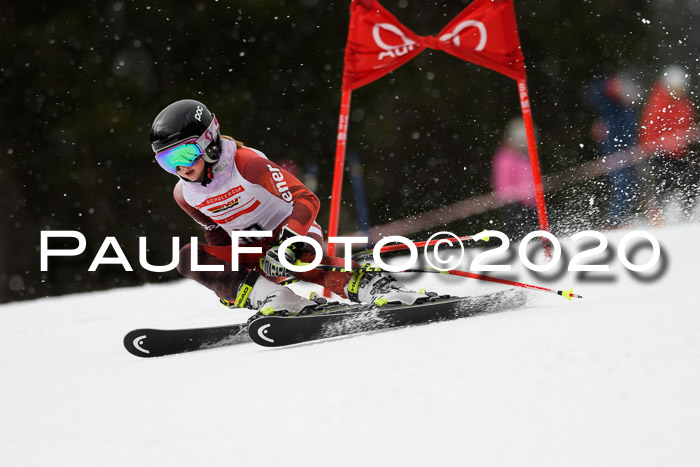 DSV - Deutscher Schülercup U12 Finale RaceCross