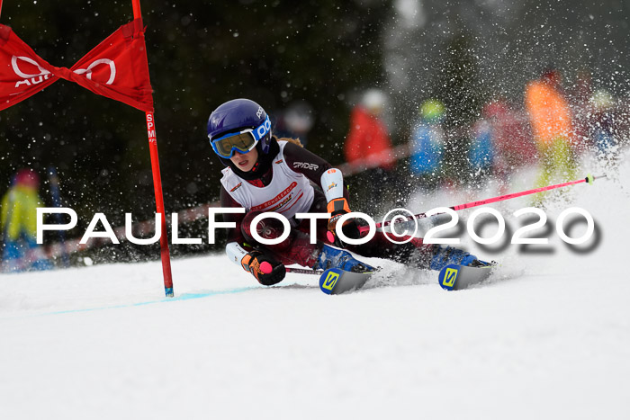 DSV - Deutscher Schülercup U12 Finale RaceCross
