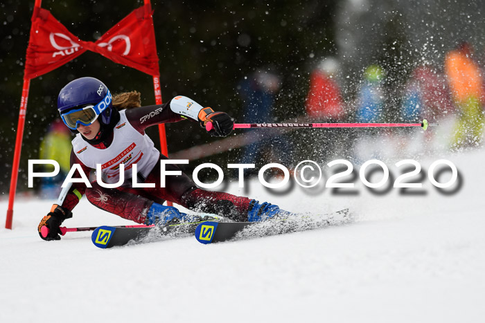 DSV - Deutscher Schülercup U12 Finale RaceCross