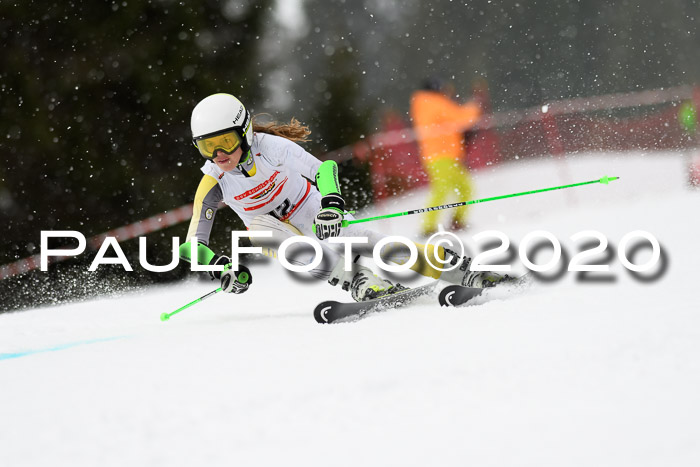 DSV - Deutscher Schülercup U12 Finale RaceCross