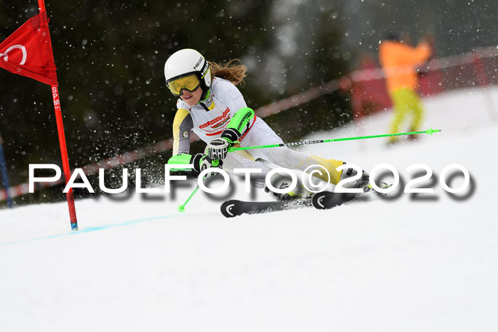 DSV - Deutscher Schülercup U12 Finale RaceCross