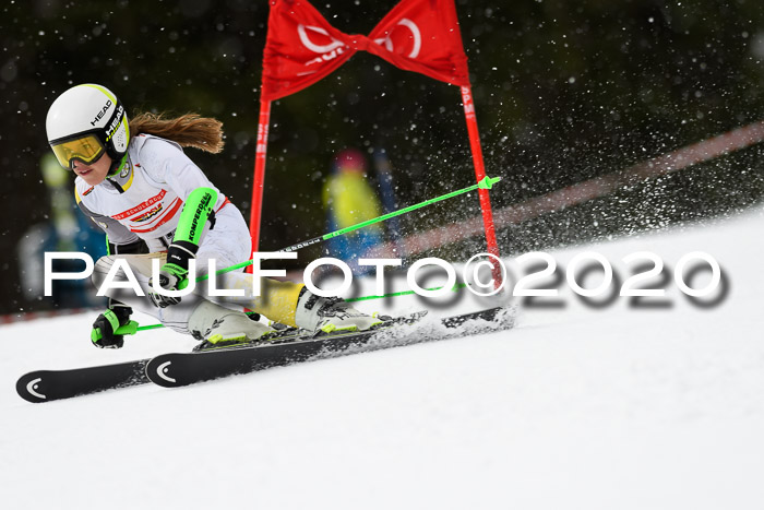 DSV - Deutscher Schülercup U12 Finale RaceCross