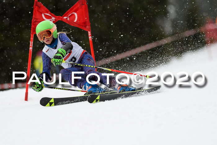 DSV - Deutscher Schülercup U12 Finale RaceCross